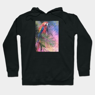 Parrot Hoodie